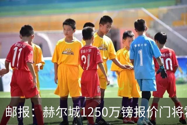 邮报：赫尔城1250万镑报价门将霍尔尼切克，还有意努贝尔、科利尔